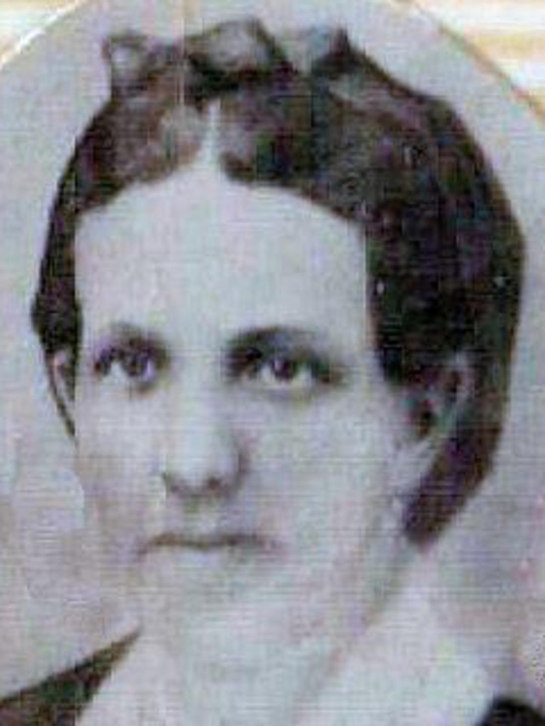 Eliza Hansen (1853 - 1906) Profile